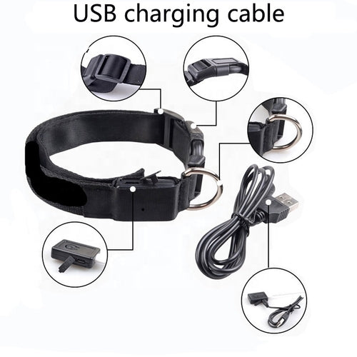 USB-wiederaufladbares LED-Hundehalsband
