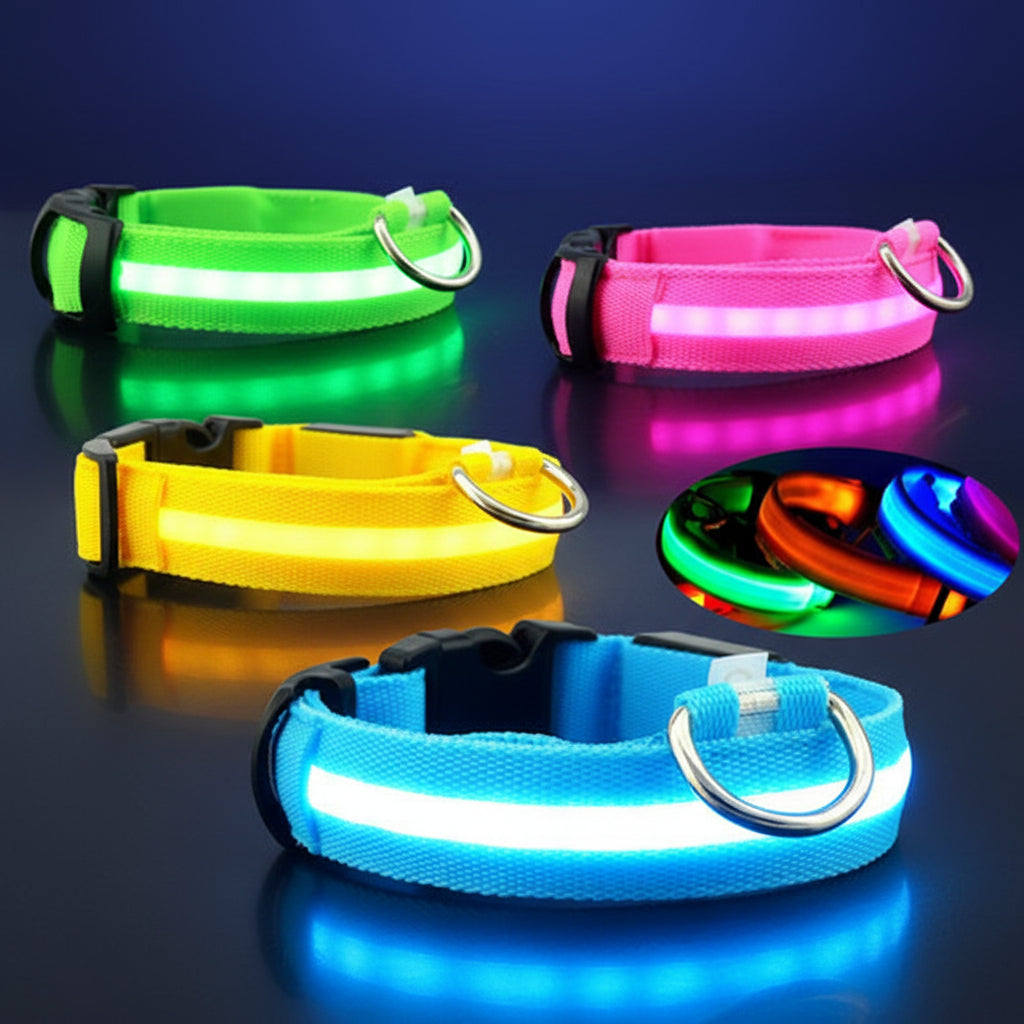 USB-wiederaufladbares LED-Hundehalsband