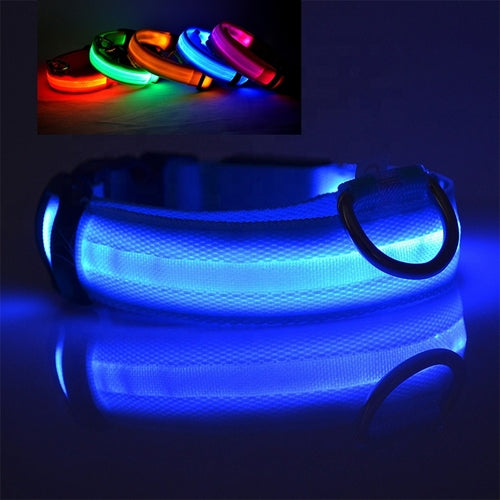 USB-wiederaufladbares LED-Hundehalsband